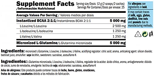 AMIX - Bcaa Glutamina - 300 Gramos - Complemento Alimenticio de Glutamina en Polvo - Reduce el Catabolismo Muscular - Óptimo para Deportistas - Sabor Frutas del Bosque - Aminoácidos Ramificados