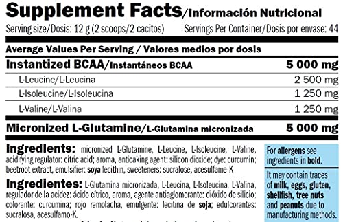 AMIX - Bcaa Glutamina - 530 Gramos - Complemento Alimenticio de Glutamina en Polvo - Reduce el Catabolismo Muscular - Óptimo para Deportistas - Sabor Naranja - Aminoácidos Ramificados