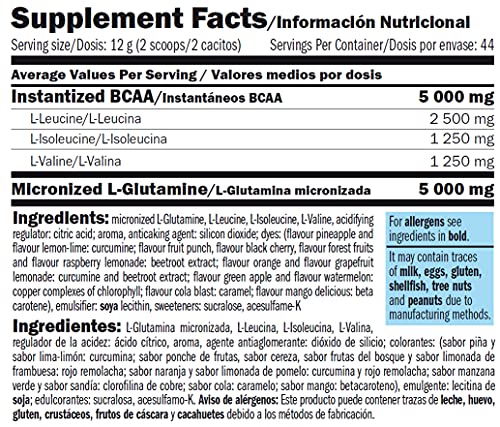 AMIX - Bcaa Glutamina - 530 Gramos - Complemento Alimenticio de Glutamina en Polvo - Reduce el Catabolismo Muscular - Óptimo para Deportistas - Sabor Frutas del Bosque - Aminoácidos Ramificados