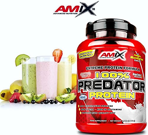 AMIX, Proteínas para Aumentar Masa Muscular con Sabor a Fresa, Predator en Formato Bote de 1 Kg, Ayuda al Crecimiento Muscular, Libre de Aspartamo, Ideal para Batidos de Proteínas