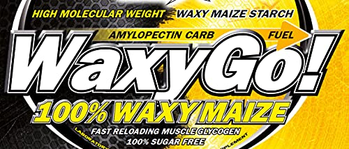 AMIX - Suplemento Deportivo - Amilopectina Waxy Go en Formato de 2 kg - Mejora el Rendimiento Muscular - Mantiene los Niveles de Glucógeno - Sabor Neutro