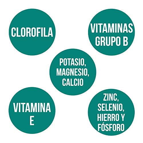 Ana Maria Lajusticia - Espirulina – 160 comprimidos fuente de proteínas, vitaminas y minerales. Detox y saciante. Apto para veganos. Envase para 26 días de tratamiento.