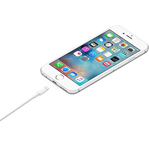 Apple Cable de Conector Lightning a USB (1 m)