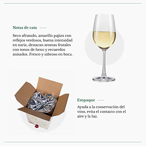 Bag in Box verdejo 5 Litros Vino Blanco Verdejo seco afrutado caja de vino blanco Verdejo Paz VI