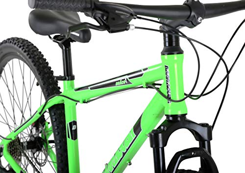 Barracuda Draco 4 29r Bicicleta, Unisex, Verde, 19 Pulgadas