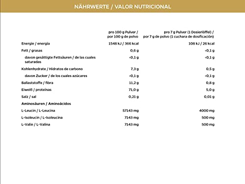BCAA 8:1:1 aminoácidos esenciales en polvo, veganos y sin dextrosa/maltodextrina, bajos en carbohidratos, 300 g - de la marca de deporte profesional FSA Nutrition, fabricado en Alemania, Sandía