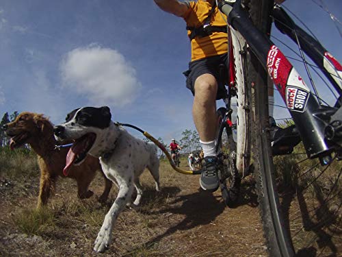 Bike Tow Leash - Safely Exercise & Walk the Dog Bicycle Attachment ORANGE