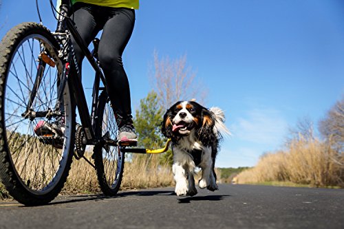 Bike Tow Leash - Safely Exercise & Walk the Dog Bicycle Attachment ORANGE