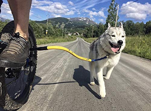 Bike Tow Leash - Safely Exercise & Walk the Dog Bicycle Attachment ORANGE