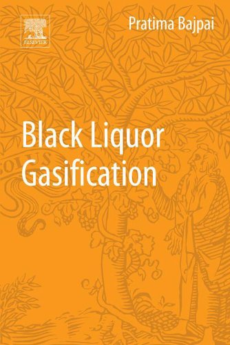 Black Liquor Gasification (English Edition)