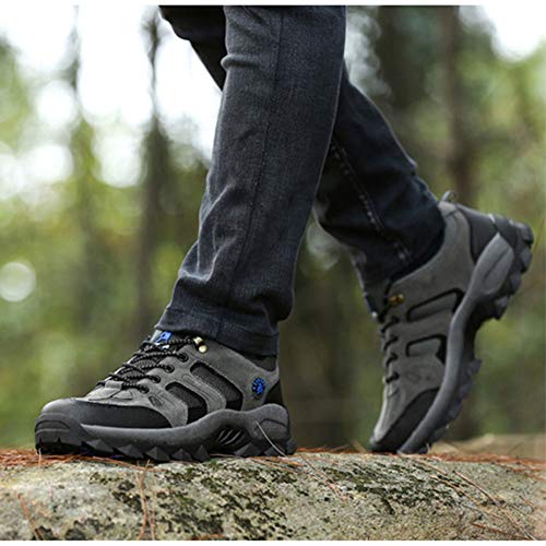 Botas De Montaña Hombre Antideslizante Trekking Zapatos Al Aire Libre Respirable Caminar Alpinismo Enviar Calcetines Gris 42 EU