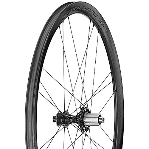 Campagnolo WTO 33 DB 2 wayfit Ruedas para Bicicleta, Negro