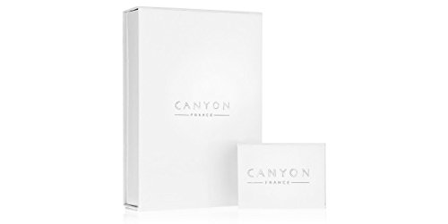 Canyon Bijoux - Anillo cuadrado de plata 925, dorado, labradorita, 12,5 g, T56