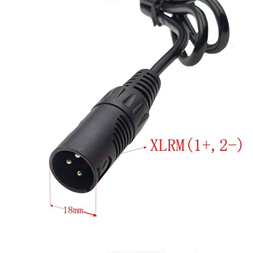 Cargador de batería YYHQQBAD 36 V 2 A de iones de litio 42 V 2 A cargador de batería de polímero de litio para 10 Series 36 V Electric eBike XLRM conector de 3 polos