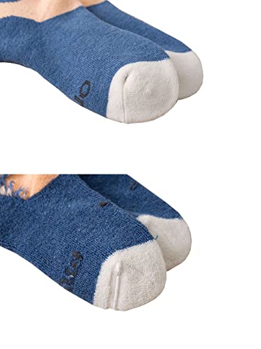 Ceguimos Calcetines Térmicos Invierno para Bebé Niños Pack de 5 Pares, Dinosaurios, 5-8 años