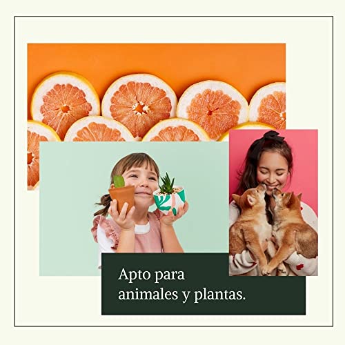 Citrosanté - Extracto de semillas de pomelo orgánico 2 unidades de 50 ml