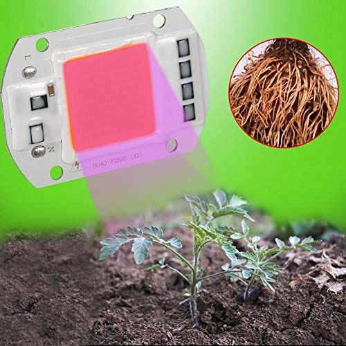 COB Led Grow Light, 50W Full Spectrum Warm/White Led COB Chip Grow Light Lámpara de crecimiento Garden Hydroponic Plant, Led Grow Lamp