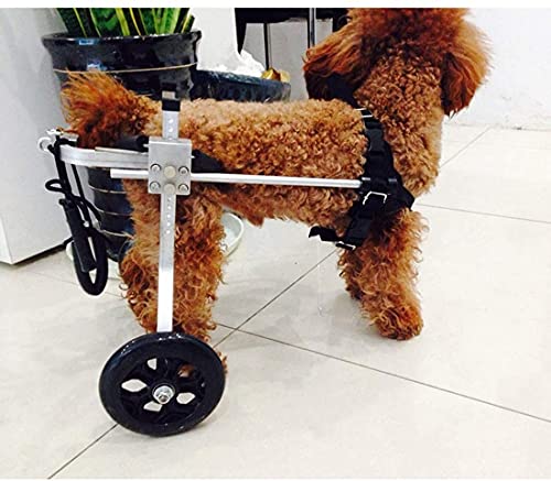 Cora Pet Scooter Carrito para Perros Silla de Ruedas para Perros Patas traseras rehabilitación Silla de Ruedas para Perros de 2 Ruedas Ajustable para 1-60 kg Perro Viejo, Gato, Conejo