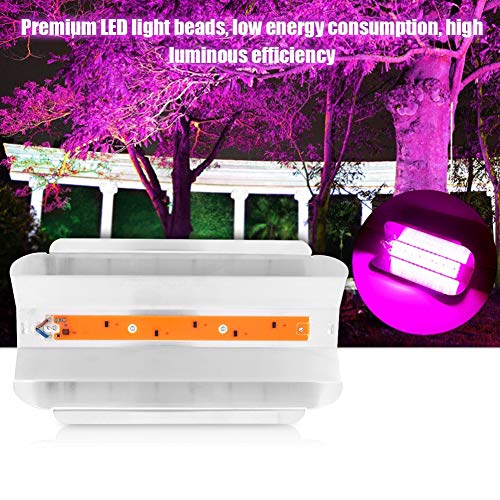 Delaman Grow Light Plantas de Interior COB LED Growing Light Full Spectrum Planta Lámpara de Cultivo para Plantas Flor Vegetales (Capacidad : 30W)