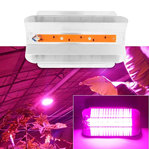 Delaman Grow Light Plantas de Interior COB LED Growing Light Full Spectrum Planta Lámpara de Cultivo para Plantas Flor Vegetales (Capacidad : 30W)