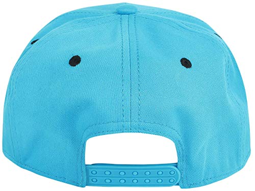 Difuzed Sesamestreet Cap Cookie Bite Snapback Blue, Gorra