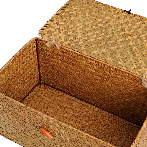 DOKOT Seagrass Cestas Mimbre Decoración Cesto de Almacenaje con Tapa Rectangular Tejido de Ratán Caja con Tapa (Mediano 30cmx18cmx15cm H)