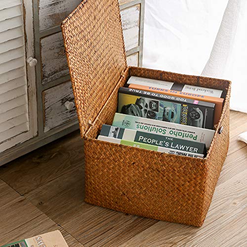 DOKOT Seagrass Cestas Mimbre Decoración Cesto de Almacenaje con Tapa Rectangular Tejido de Ratán Caja con Tapa (Mediano 30cmx18cmx15cm H)