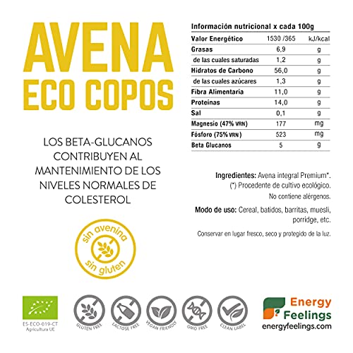 Energy Feelings Avena Ecológica Premium sin Gluten en Copos, XXL - 1 paquete de 1000 gr