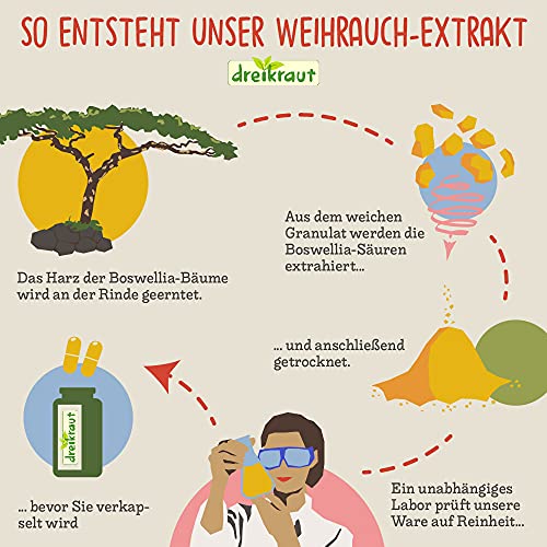 Extracto de Boswellia Serrata puro, Incienso, 140 cápsulas vegetarianas, 400mg, Alta potencia, Producto de Alemania