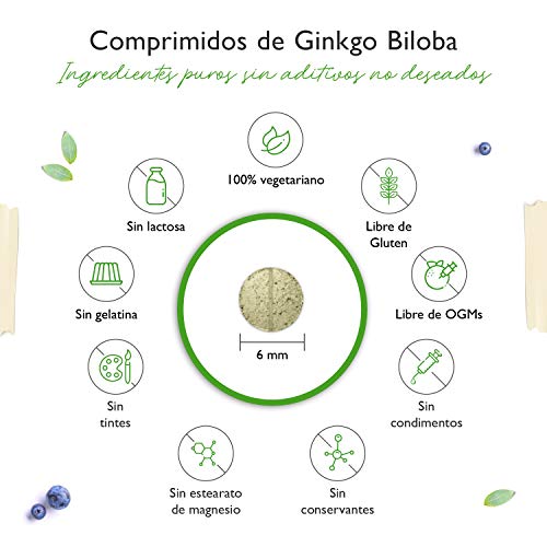 Ginkgo Biloba 6000 mg - 365 Comprimidos - Premium: Con glicósidos flavonoides + ginkgolide terpene lactones y ácido ginkgólico libre - Sin aditivos no deseados - Altamente dosificado - Vegano