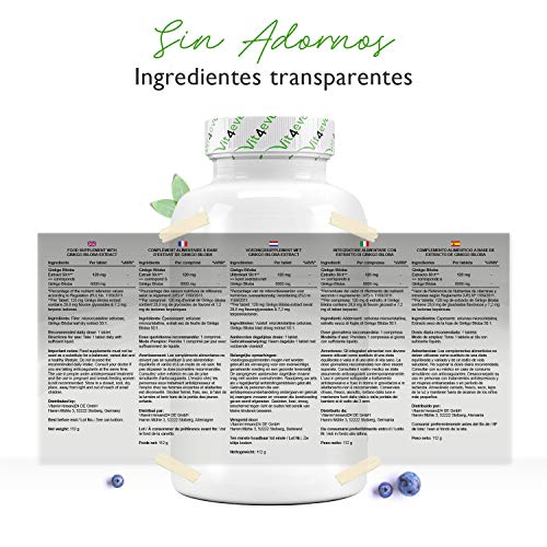 Ginkgo Biloba 6000 mg - 365 Comprimidos - Premium: Con glicósidos flavonoides + ginkgolide terpene lactones y ácido ginkgólico libre - Sin aditivos no deseados - Altamente dosificado - Vegano