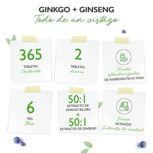 Ginkgo + Ginseng - 365 Comprimidos - Extracto especial - Alta dosis - Ginkgo Biloba + Ginseng coreano - Calidad Premium - Vegano