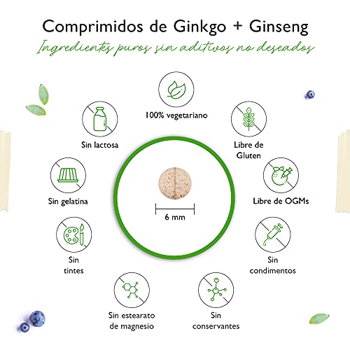 Ginkgo + Ginseng - 365 Comprimidos - Extracto especial - Alta dosis - Ginkgo Biloba + Ginseng coreano - Calidad Premium - Vegano