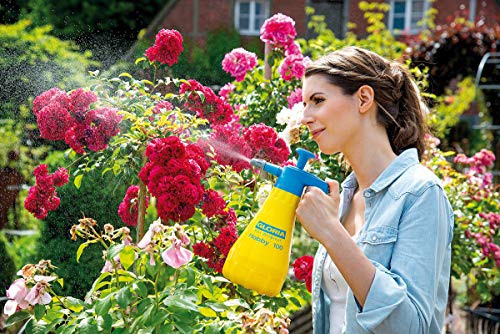 Gloria Pulverizador a Presión Hobby 100, Pulverizador de Jardín, Pulverizador de Mano, Capacidad de Llenado 1 L, con Boquilla Regulable, Uso doméstico-jardín