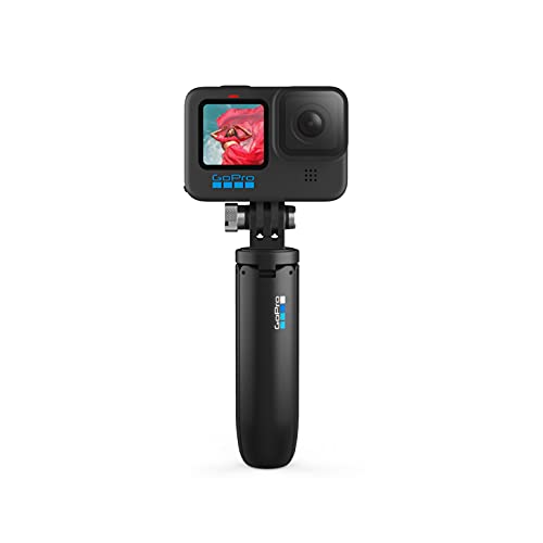 GoPro Shorty AFTTM-001 Vara de Extensión en Miniatura y Trípode, Negro