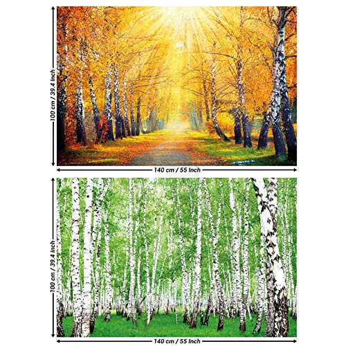 GREAT ART Set de 2 carteles XXL | 140 x 100 cm | abedules otoño dorado y verde verano bosque paisaje naturaleza árboles camino forestal | Foto Póster de Pared Mural Imagen Decoración
