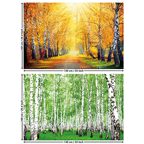 GREAT ART Set de 2 carteles XXL | 140 x 100 cm | abedules otoño dorado y verde verano bosque paisaje naturaleza árboles camino forestal | Foto Póster de Pared Mural Imagen Decoración