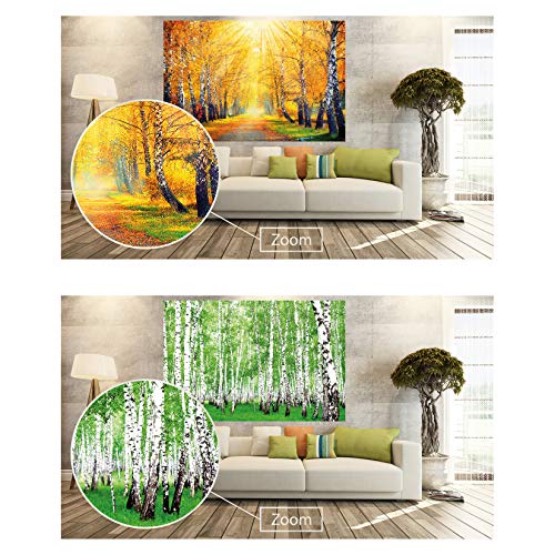 GREAT ART Set de 2 carteles XXL | 140 x 100 cm | abedules otoño dorado y verde verano bosque paisaje naturaleza árboles camino forestal | Foto Póster de Pared Mural Imagen Decoración