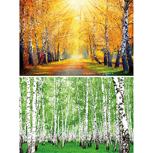 GREAT ART Set de 2 carteles XXL | 140 x 100 cm | abedules otoño dorado y verde verano bosque paisaje naturaleza árboles camino forestal | Foto Póster de Pared Mural Imagen Decoración