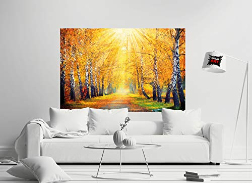 GREAT ART Set de 2 carteles XXL | 140 x 100 cm | abedules otoño dorado y verde verano bosque paisaje naturaleza árboles camino forestal | Foto Póster de Pared Mural Imagen Decoración