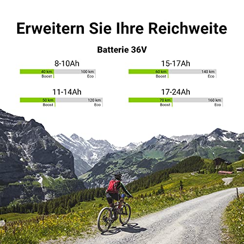 Green Cell® 24V | 36V | 48V Batería para Bicicleta Electrica de Iones de Litio Li-Ion Recargable al Motor 250W BMS E-Bike Pedelec Silverfish y Cargador (36V 11Ah MAX 250W)