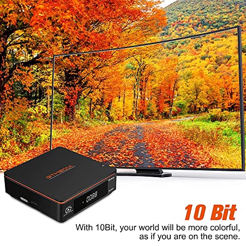 GTMEDIA V9 Prime Decodificador Satelite DVB-S/S2/S2X 2.4G WiFi Incorporado Receptor Satelite Soporta PVR/T2-MI/Biss Auto Roll/AVS+/VCM/ACM,H.265 1080P Full HD IPTV,HEVC 10 Bits, Cccam, Newcam, youtube