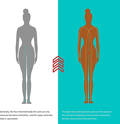 HEALTHKEEP Bascula de Baño Peso Baño Peso Digital Grasa Corporal Digital Inteligente con 8 Electrodos, alta precisión, con 18 Datos Básicos, LED Pantalla brillante, Puede contener 45 pies de pie.