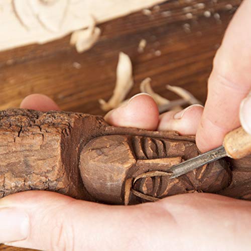 HOLZWURM Herramientas de tallado 12 pcs. incl. Instrucciones (EN), juego de cuchillos de tallado ideal para tallar madera, vegetales, frutas y mucho más