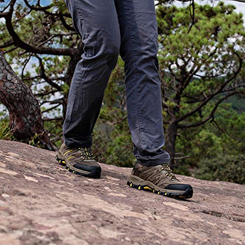 Hombres Zapatillas Senderismo Trail Mount Low Zapatillas Impermeable De Senderismo Trekking para Hombre ventilación de Baja Altura JW009 Jack Walker (43 EU)