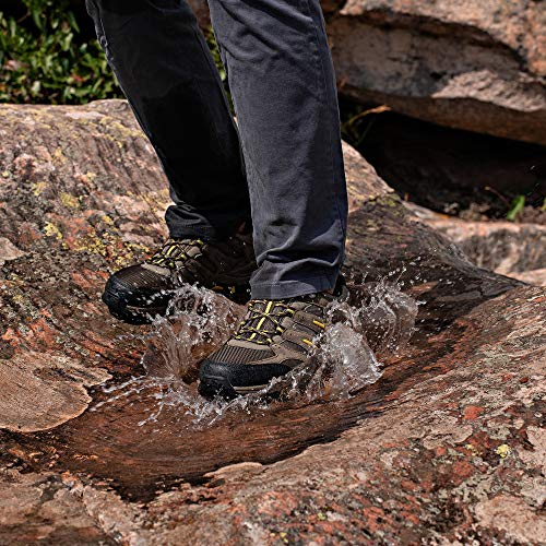 Hombres Zapatillas Senderismo Trail Mount Low Zapatillas Impermeable De Senderismo Trekking para Hombre ventilación de Baja Altura JW009 Jack Walker (43 EU)