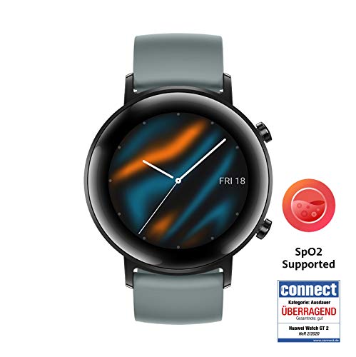 HUAWEI Watch GT 2 - Smartwatch