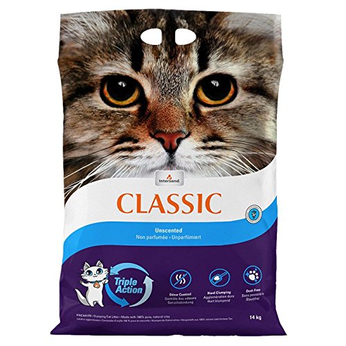 Intersand Extreme Classic - Arena para Gatos, sin Olor, 2 x 15 kg