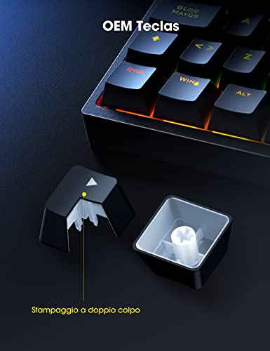 Italiano Teclado Gaming Mecánico, Interruptor Bleu, Retroiluminación Rgb Dinámica, Hiwings 100% Anti-Ghosting Teclado Mecánico para PC/Windows / PS4 PS5 Gamer