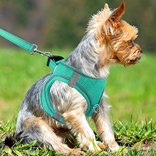 Joytale Arnes Perro, Reflectante Cómodo Transpirable Arnés, Perros Arneses Chaleco para Gato y Cachorros Perro, Verde Azulado, S